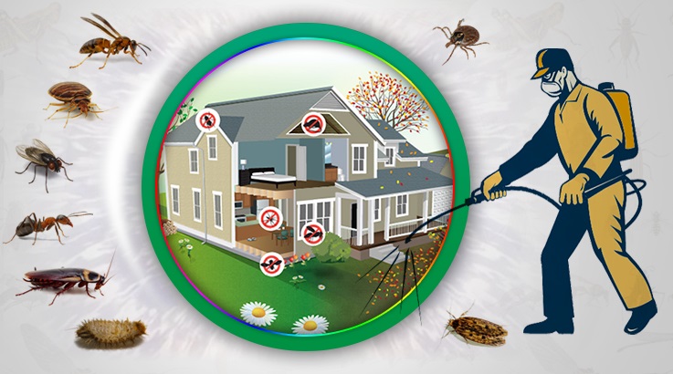 Sinanpaşa Böcek İlaçlama